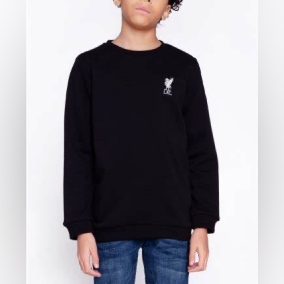 Navy Blue Crewneck Sweater - Picture 1 of 4